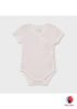 1789/33 1C body Baby Rose