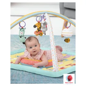 Skip Hop ABC & Me Activity Gym játszószőnyeg 